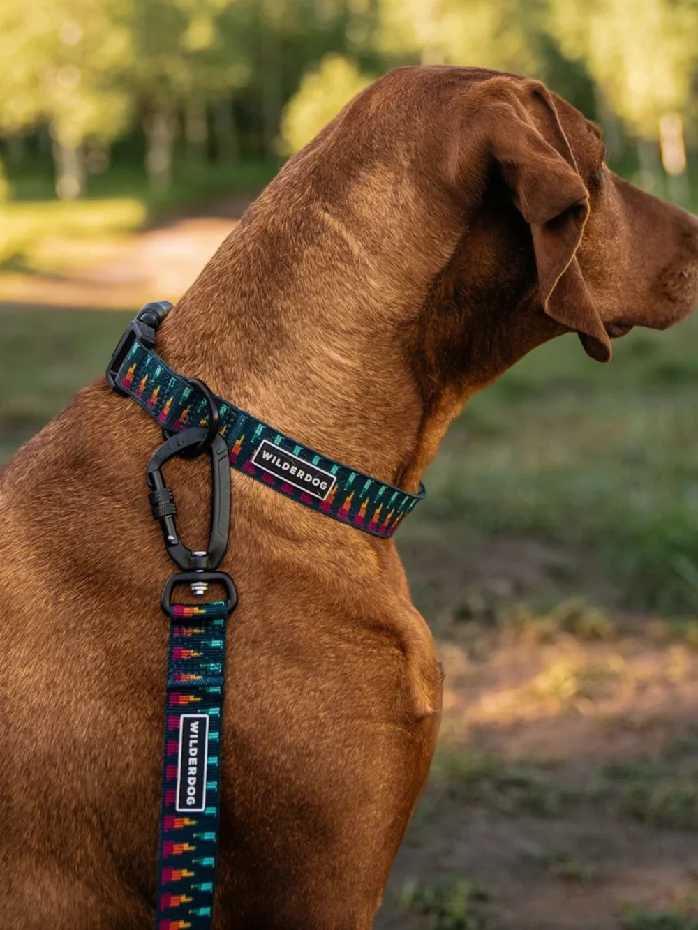 NWT Wilderdog Lightweight Carabiner Dog Leash 6 ft (2 colors available)